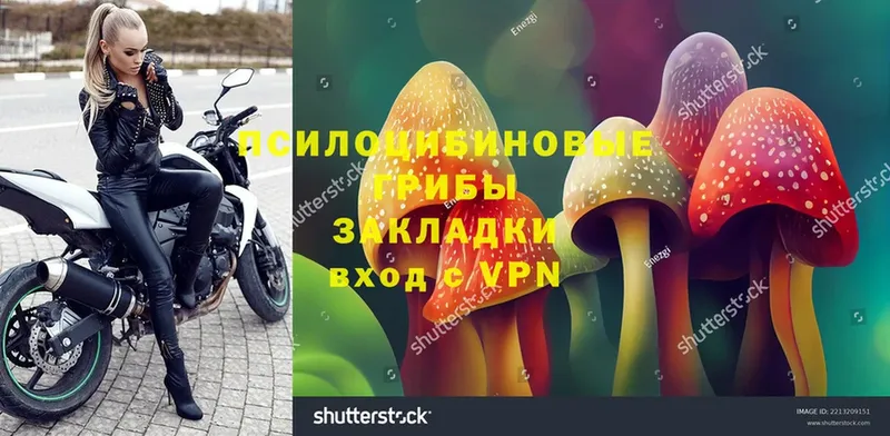 Псилоцибиновые грибы Magic Shrooms  OMG   Орёл  где можно купить наркотик 